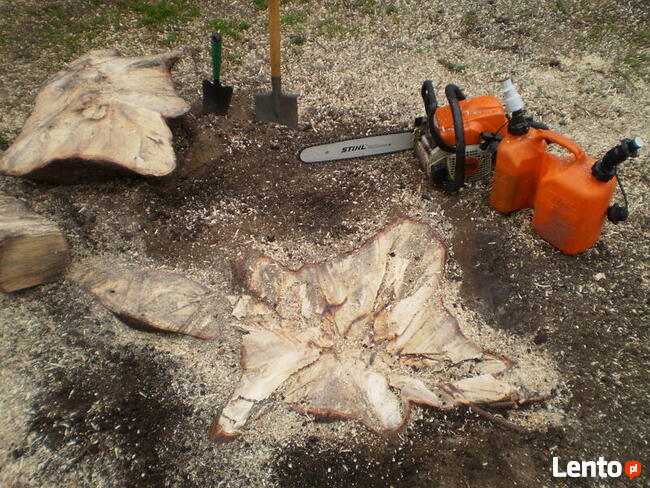 Wycinka drzew Poznań, Luboń, Przeźmierowo, Mosina, Stęszew,