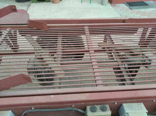 Maszyna do obcinania i sortowania cebuli