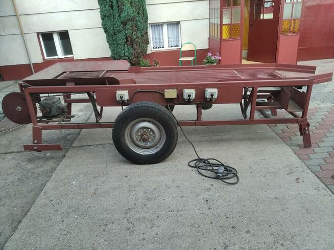 Maszyna do obcinania i sortowania cebuli