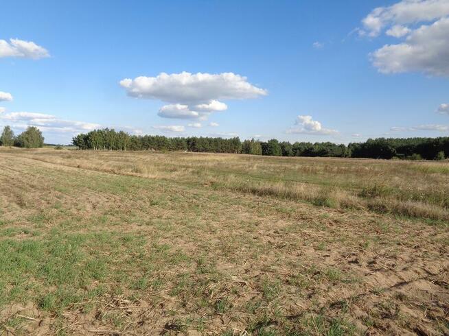 Skulsk – Działki z warunkami zabudowy