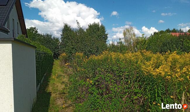 Białołęka-Warszawa 1000m2 ul. Białołęcka - działka budowlana