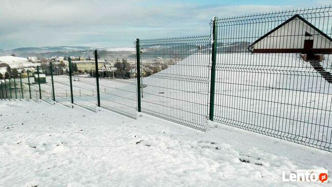 Nowoczesne przęsła ogrodzeniowe Panelowe, Palisadowe