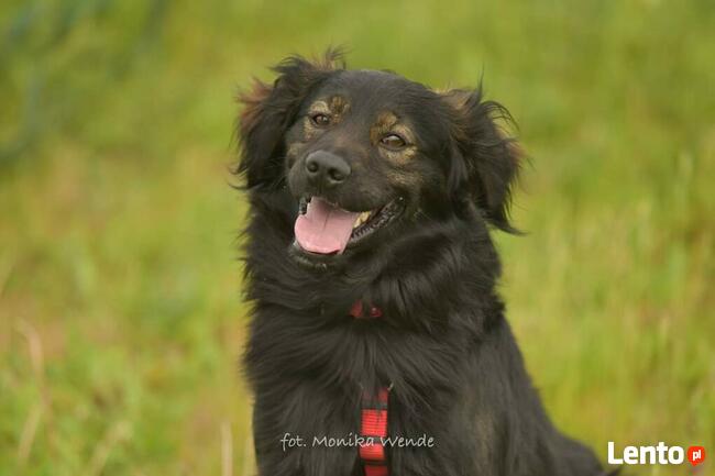 Lokaj i Lasso_ kontaktowi, weseli.