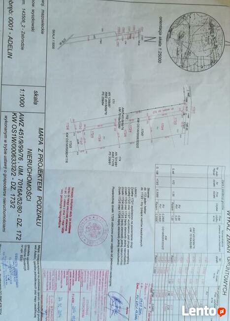 Działki budowlane w miejscowości Adelin, gm. Zabrodzie