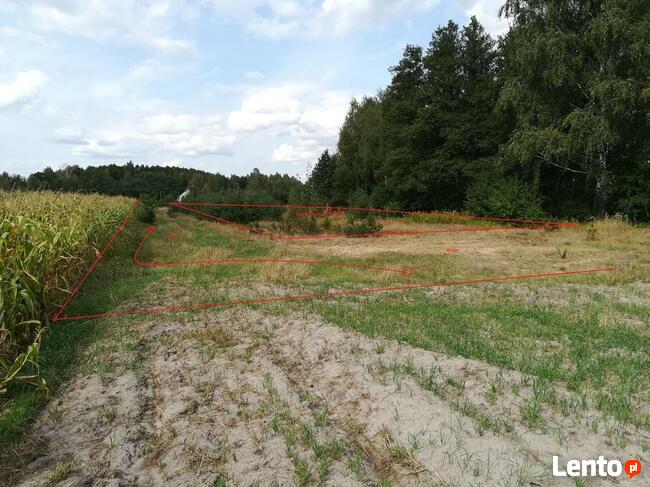 Działki budowlane w miejscowości Adelin, gm. Zabrodzie