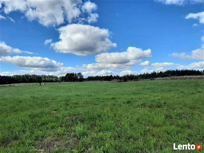 Nieruchomość mieszkalno-pensjonatowa na Mazurach!