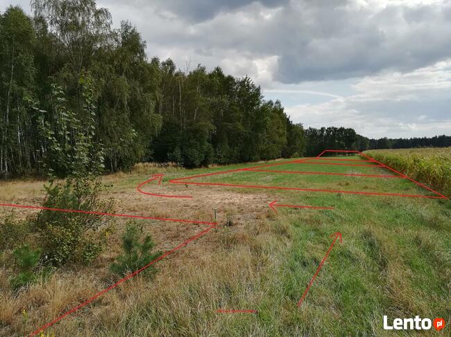 Działki budowlane w miejscowości Adelin, gm. Zabrodzie