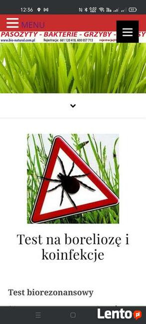 Testy na boreliozę i koinfekcje!!!