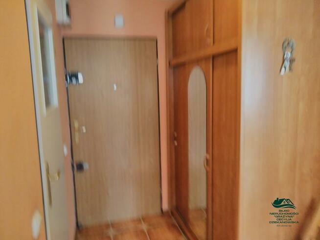 Ciechocinek - wynajem