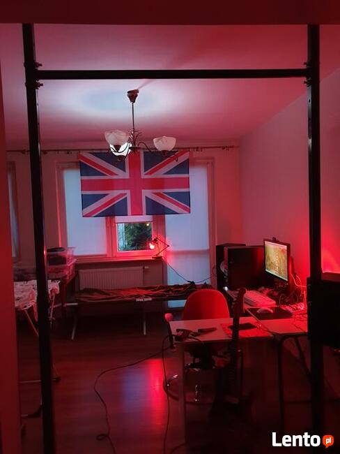 ANGIELSKI - nauka - korepetycje - zajęcia u ucznia - Radom