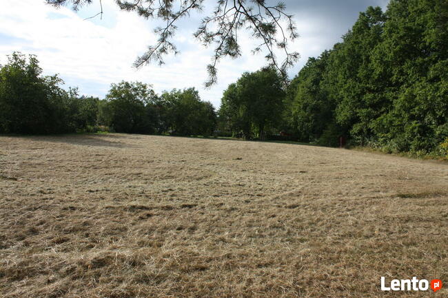 Działka rolno-budowlana w Werchracie na Roztoczu