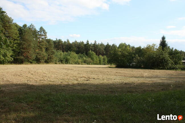 Działka rolno-budowlana w Werchracie na Roztoczu