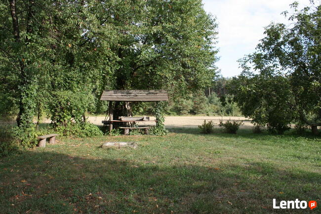 Działka rolno-budowlana w Werchracie na Roztoczu