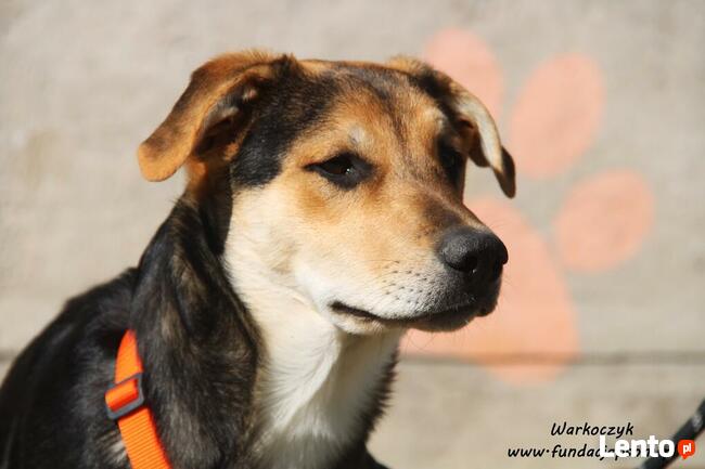 Warkoczyk - kochany chłopczyk