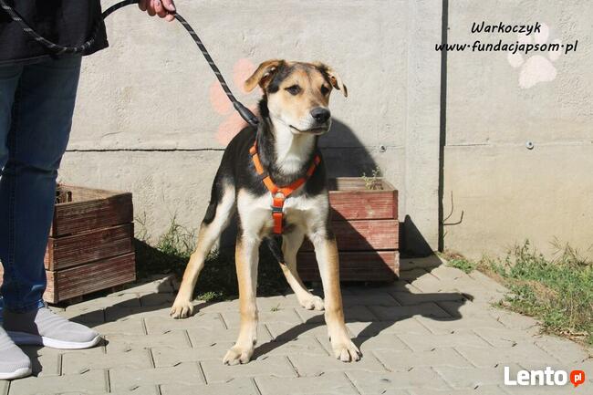 Warkoczyk - kochany chłopczyk