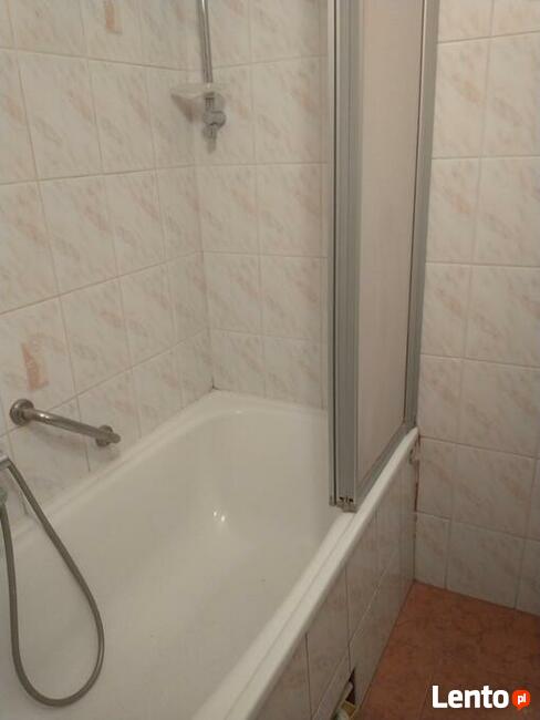 Pokój do wynajęcia, zadbany