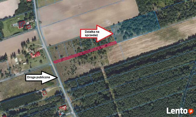 Mniszki gm. Skulsk - działka na sprzedaż 0,679 ha