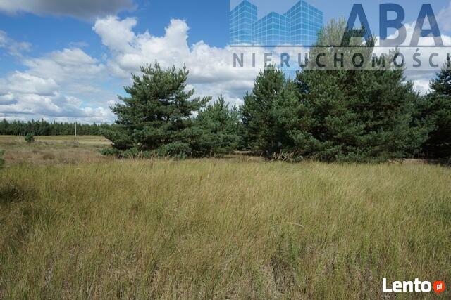 Mniszki gm. Skulsk - działka na sprzedaż 0,679 ha