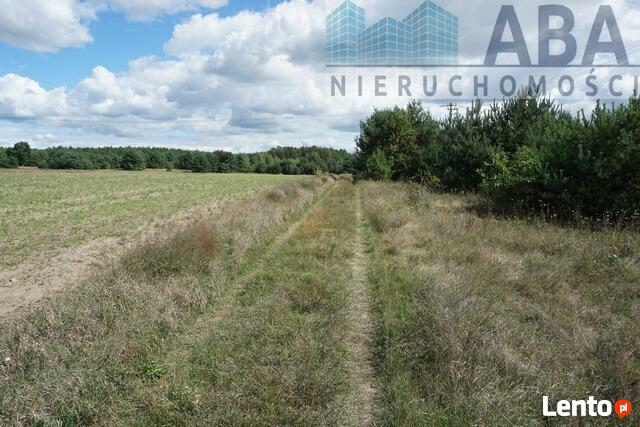 Mniszki gm. Skulsk - działka na sprzedaż 0,679 ha