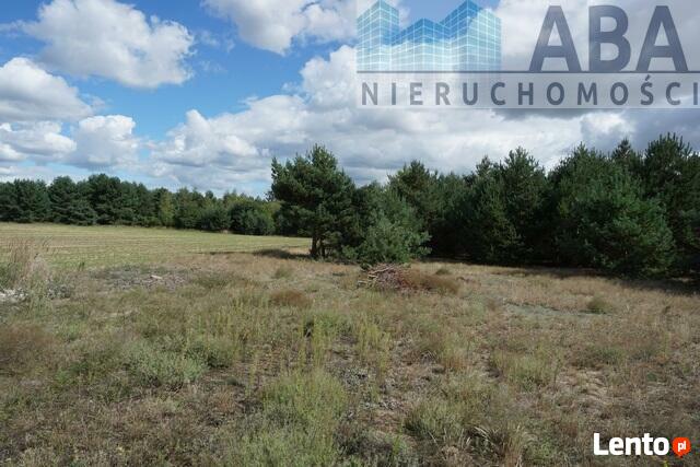 Mniszki gm. Skulsk - działka na sprzedaż 0,679 ha