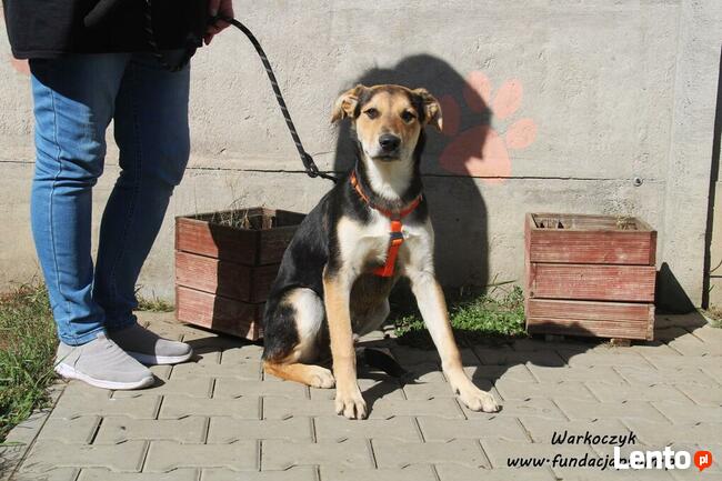 Warkoczyk - kochany chłopczyk