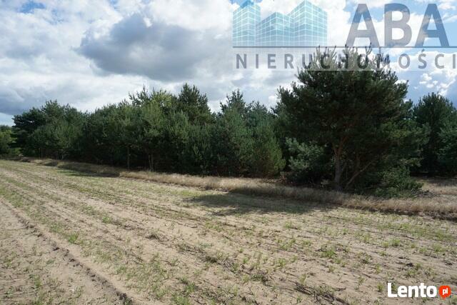 Mniszki gm. Skulsk - działka na sprzedaż 0,679 ha