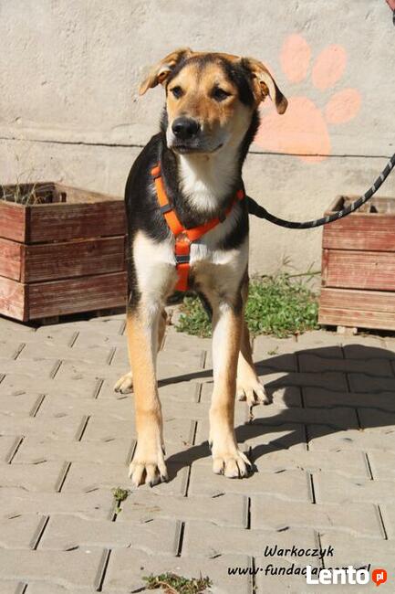 Warkoczyk - kochany chłopczyk