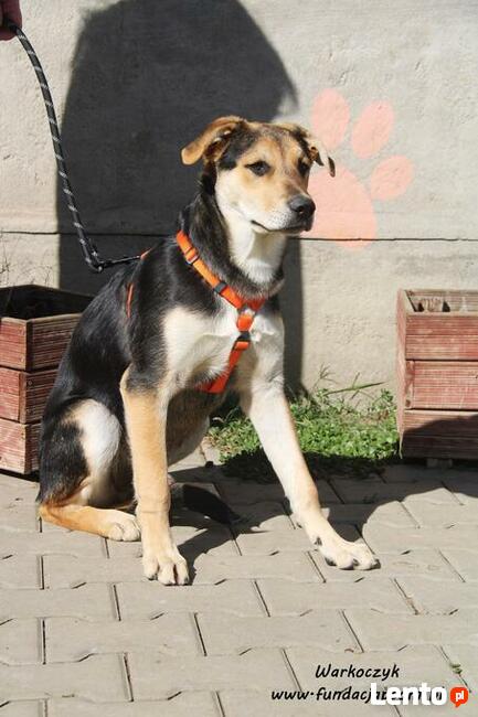 Warkoczyk - kochany chłopczyk