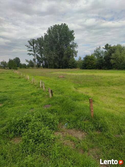 Działka budowlana 3000mkw. Wydane warunki zabudowy