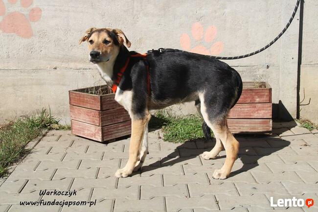 Warkoczyk - kochany chłopczyk