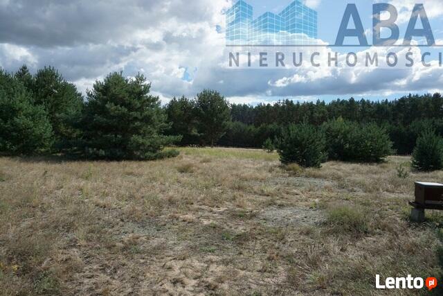 Mniszki gm. Skulsk - działka na sprzedaż 0,679 ha