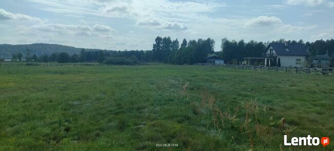 sprzedaż działek w natura 2000, Wiele Pomorskie