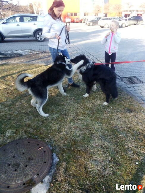 Sekcja Psów Tropiacych i Ratowniczych CSPO-Podhale