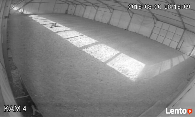 Wolne boksy dla koni/pastwiska - 20 km na płn od Krakowa