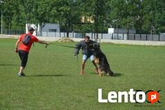 Sekcja Psów Tropiacych i Ratowniczych CSPO-Podhale