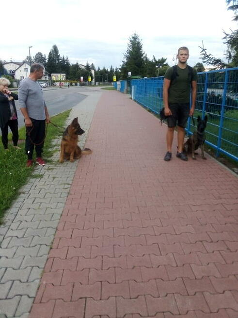 Sekcja Psów Tropiacych i Ratowniczych CSPO-Podhale