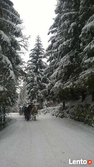 Sylwestrowy Kulig z Biesiadą w Wiśle 2025/26