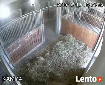 Wolne boksy dla koni/pastwiska - 20 km na płn od Krakowa