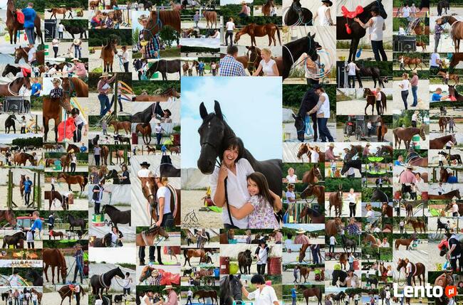 Wolne boksy dla koni/pastwiska - 20 km na płn od Krakowa