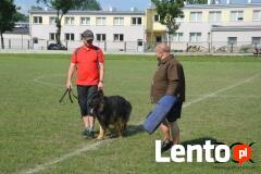 Sekcja Psów Tropiacych i Ratowniczych CSPO-Podhale