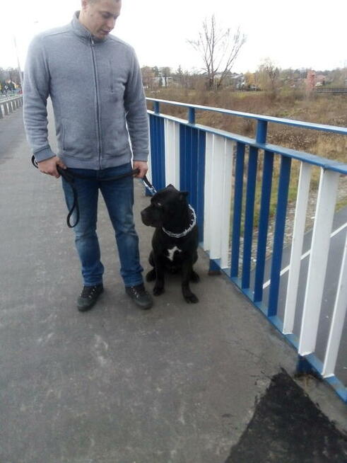 Sekcja Psów Tropiacych i Ratowniczych CSPO-Podhale