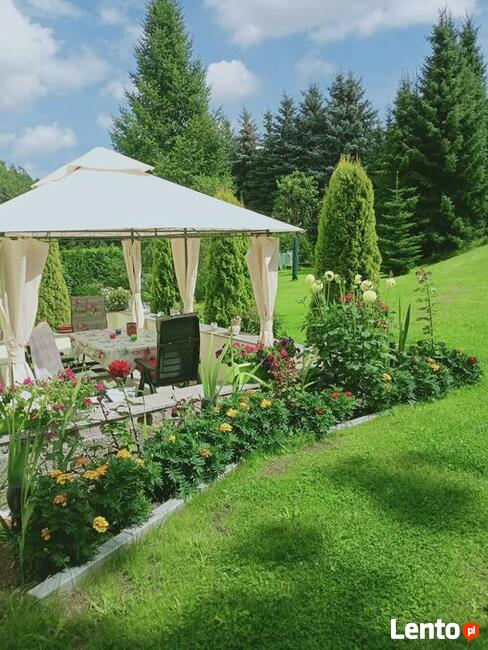 02779 Hainewalde zaprasza!!!