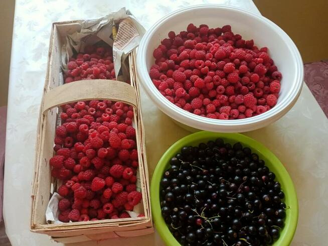 02779 Hainewalde zaprasza!!!