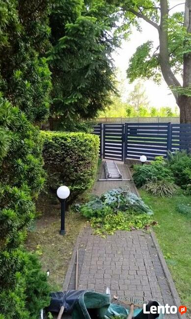 Wycinka drzew, pielęgnacja oraz obsługa terenów zielonych