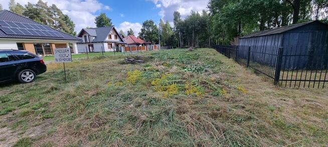 Sprzedam Diałke