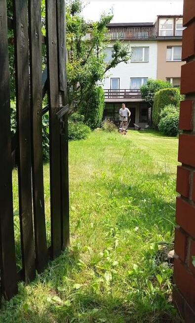 Wycinka drzew, pielęgnacja oraz obsługa terenów zielonych