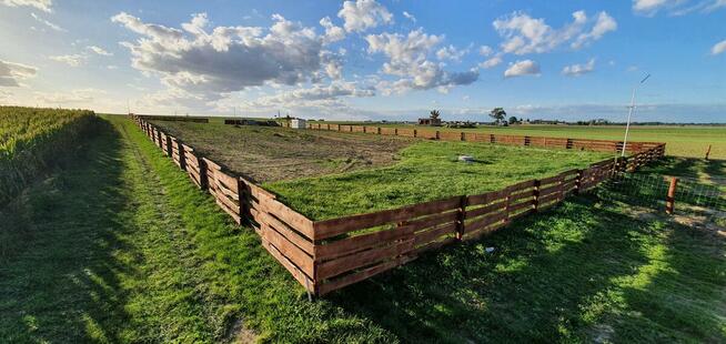 Działka siedliskowa pozwolenie na budowę Tarnowo Podgórne