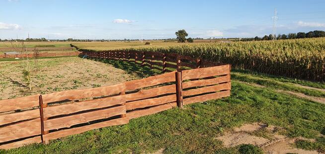 Działka siedliskowa pozwolenie na budowę Tarnowo Podgórne