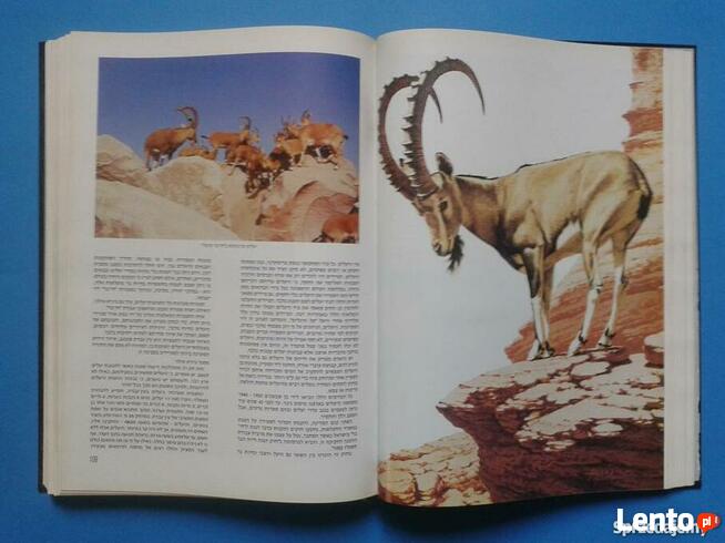 Fauna Biblii חלום שהתגשם :עולם החי של ארץ התנ"ך