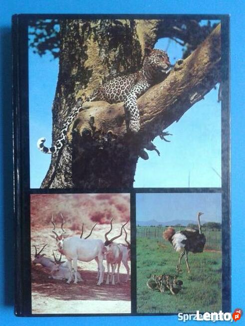 Fauna Biblii חלום שהתגשם :עולם החי של ארץ התנ"ך